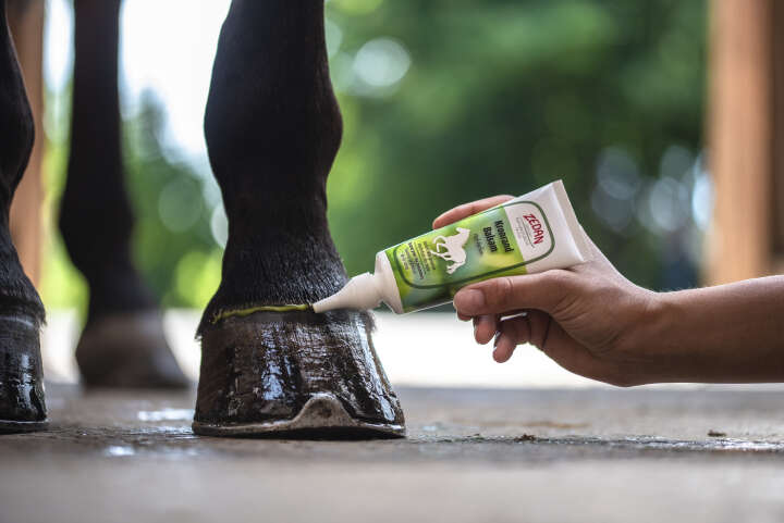 ZEDAN Kronrand Balsam 100ml